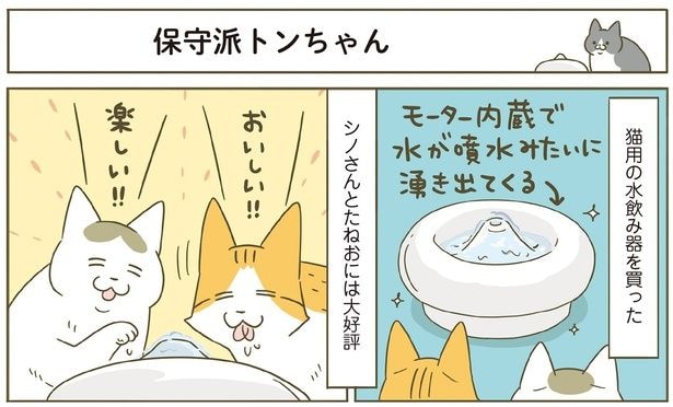 水飲み器を買った