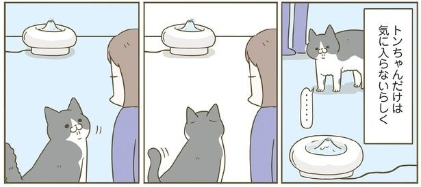 気に入らないらしく