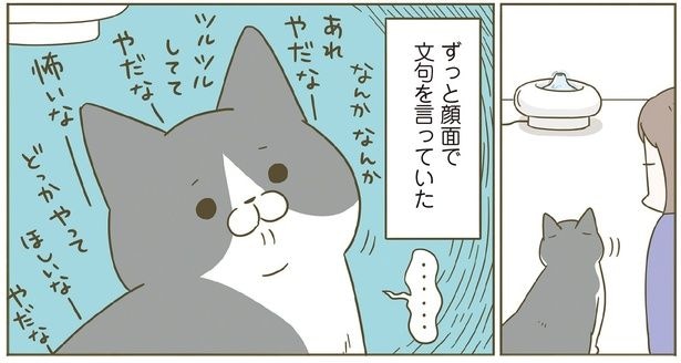 顔面で文句