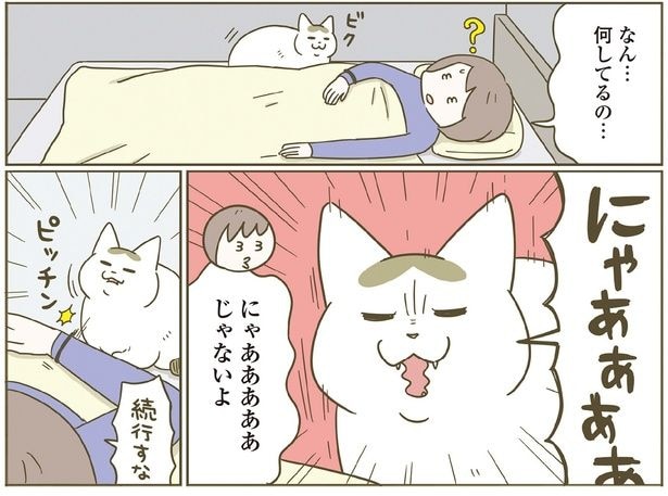 何してるの…