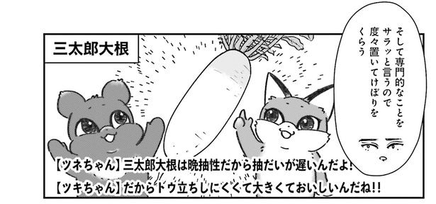 サラッと専門的なことを言うので