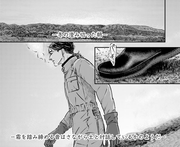 澄み切った朝