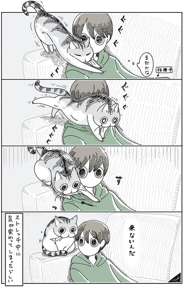 来ないんだ