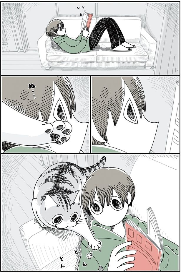 ついでにストレッチしていくネコ