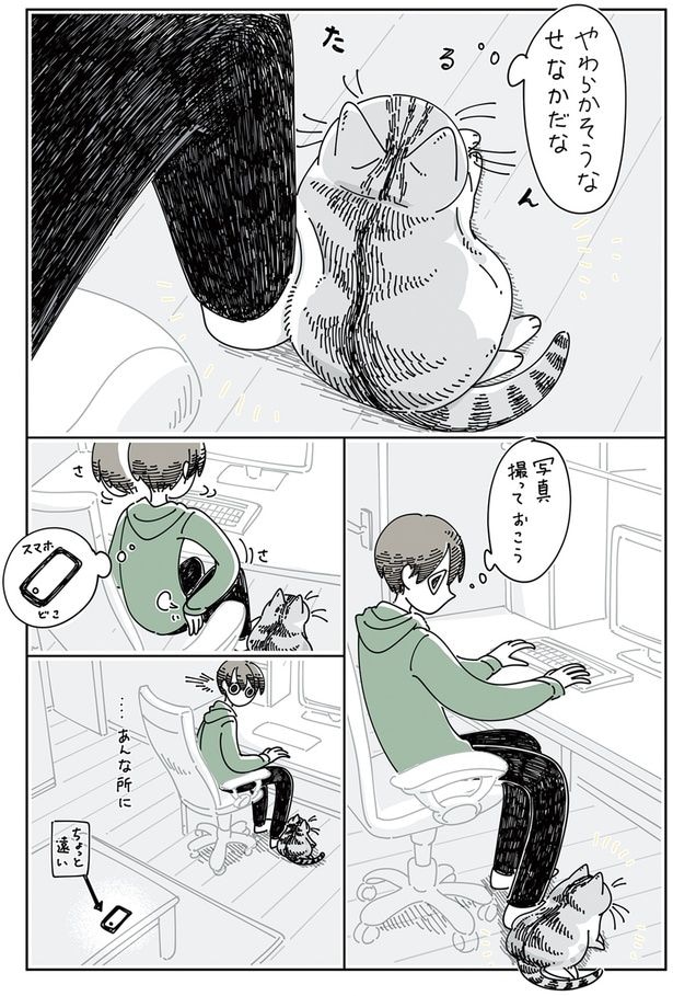 やわらかそうなせなかだな