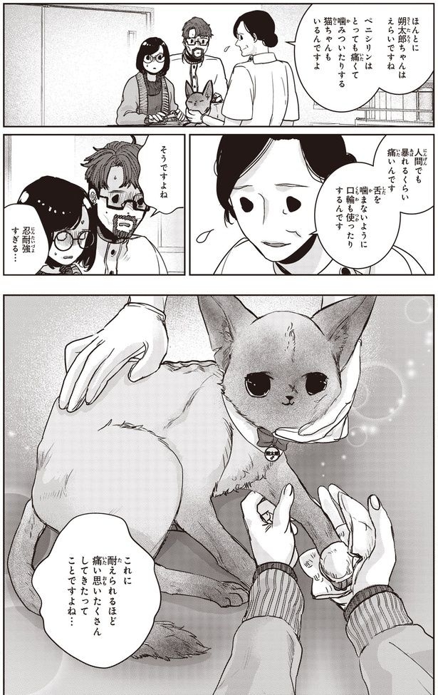 えらいですね