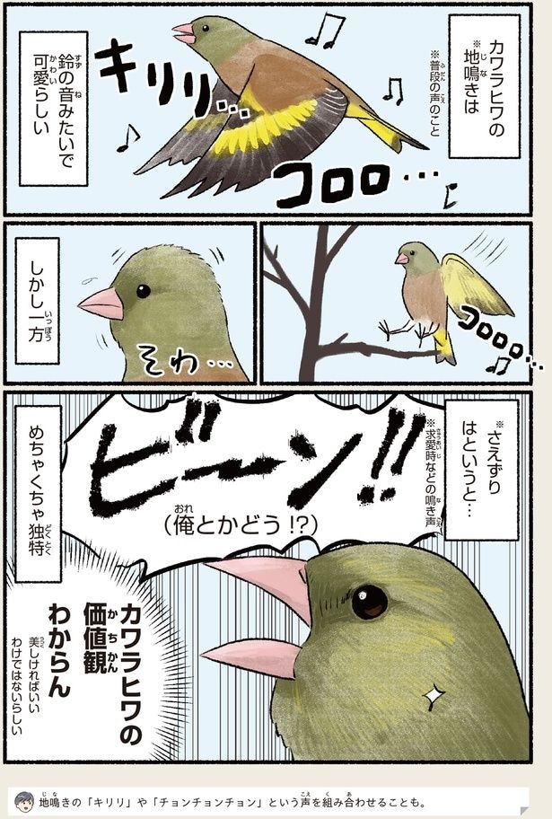 めちゃくちゃ独特