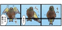 電線に留まっているのはスズメかな？実は黄色い羽のカワラヒワ