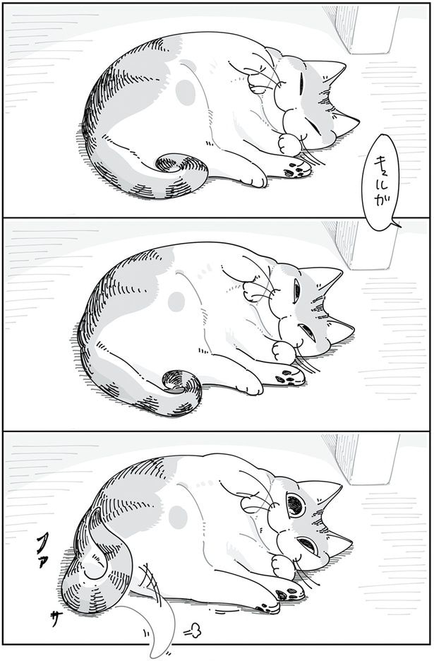 しっぽで返事