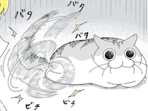 しっぽで返事してくれている？ 猫を呼んだときの反応が人によって全然違うんです
