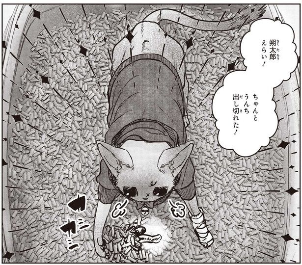 朔太郎えらい！