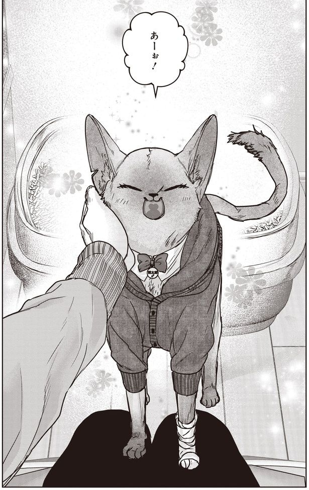 あーぉ！