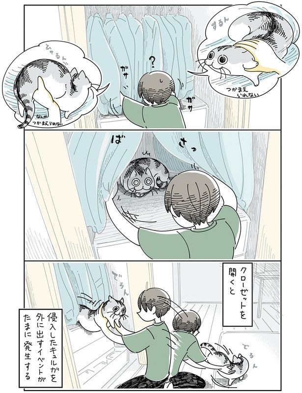 クローゼットを開くと