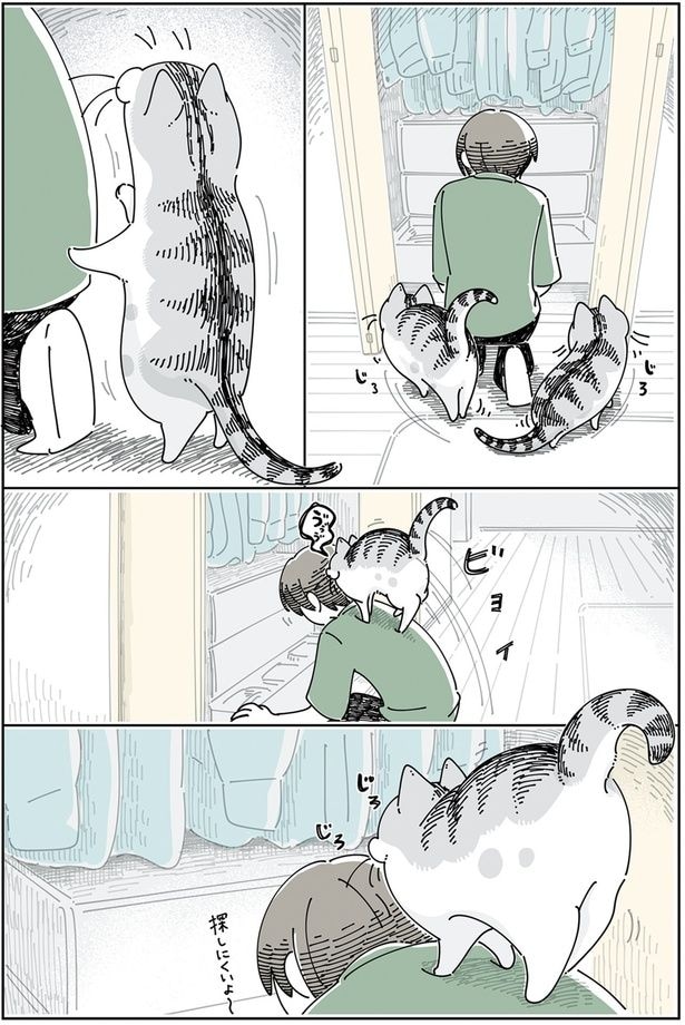 探しにくいよ〜