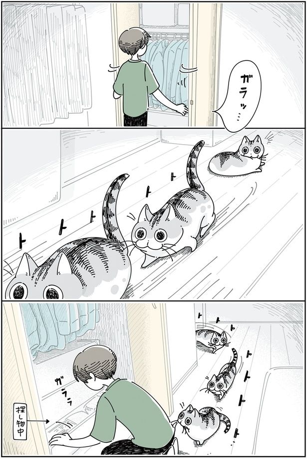 クローゼットを開くと見にくる