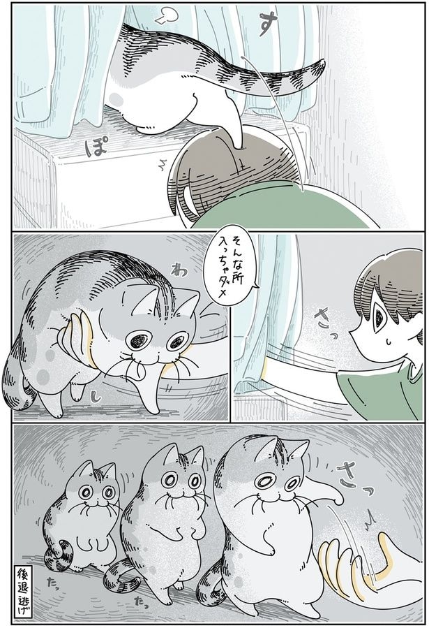 後退逃げ