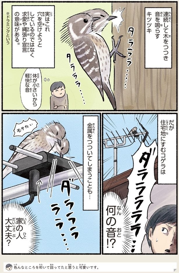 家の人大丈夫?