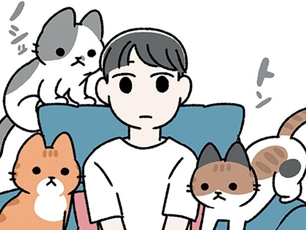 我が家の3匹のねこたち