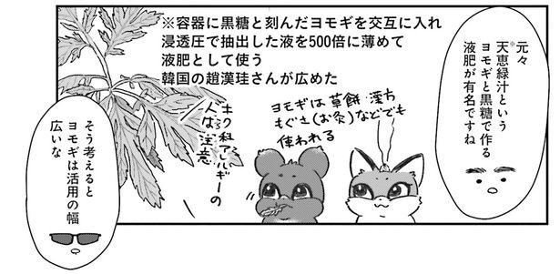 黒糖とヨモギで作る液肥が有名
