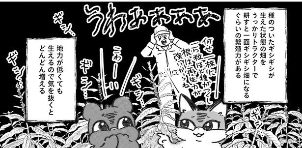 繁殖力がすごい