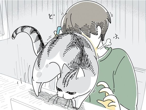 邪魔してくる…