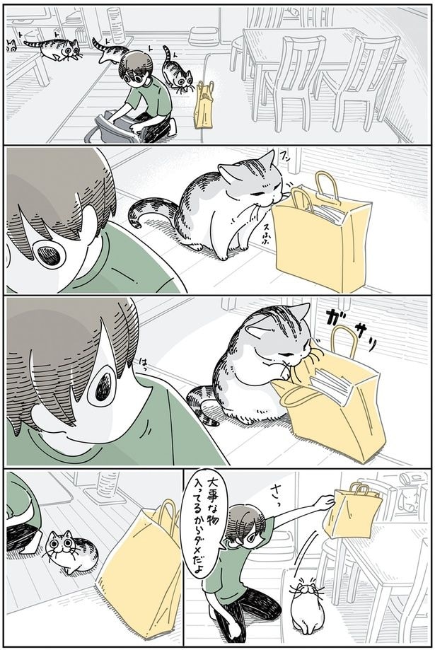 のぼれちゃったネコ
