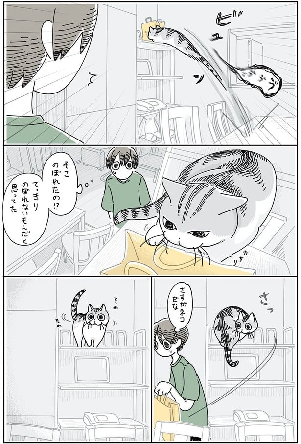 そこのぼれたの！？