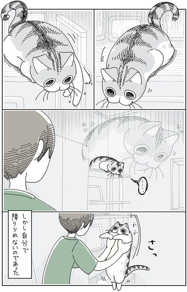 しかし自分で降りられない