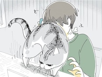 電話の何が気に入らないの？ 猫が懸命に邪魔をしてくるのが可愛い