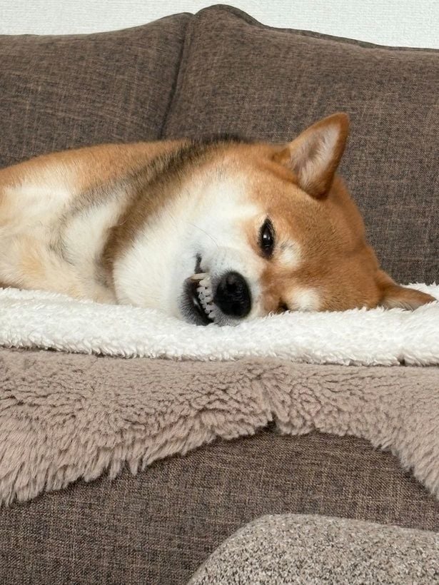 目が…開いてる…!▶どアップにしたら!?(⇒次へ)
