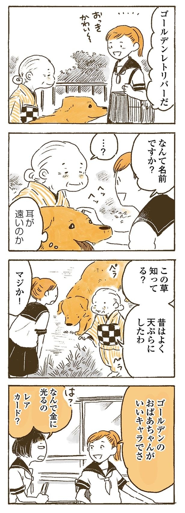 ゴールデンおばあちゃん