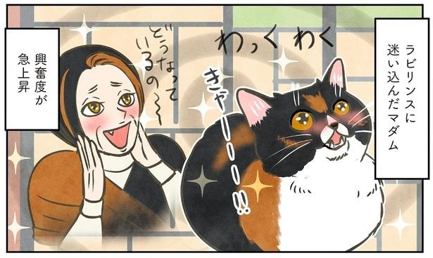 興奮度が急上昇