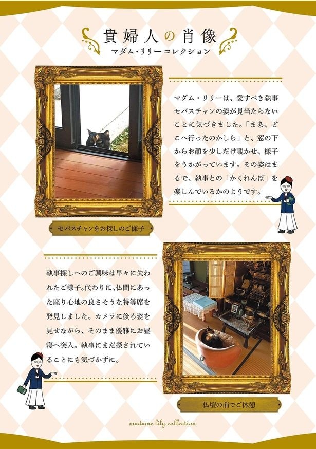 貴婦人の肖像