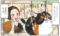 迷路のような造りの古民家に、わくわくのマダム猫