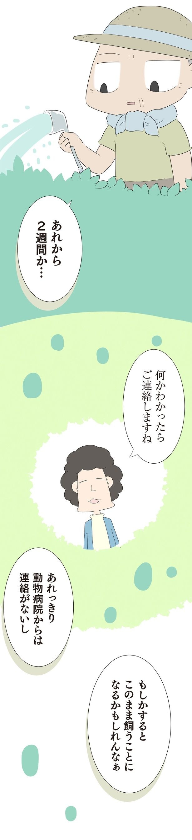 動物病院からは連絡がないし