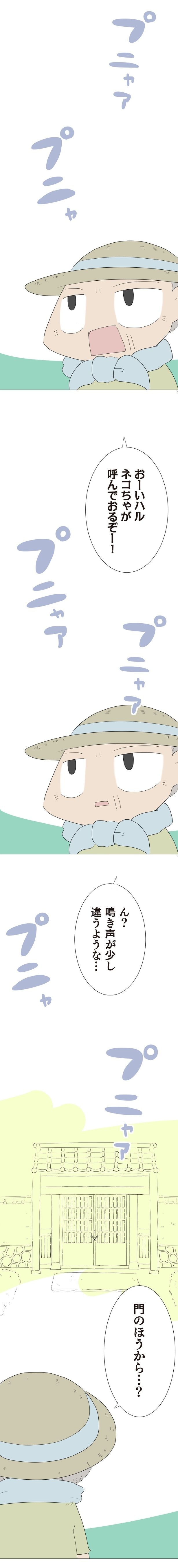 ネコちゃが呼んでおるぞー！