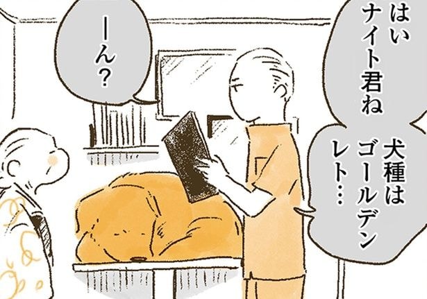 問診票に書いた犬種