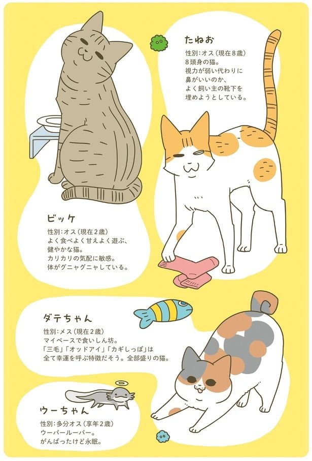 動物紹介