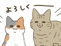 保護猫カフェからやってきた猫たち。「ダテちゃん」「ビッケ」2匹の名前の由来は？