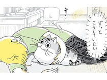 ようやく成功したネコとの添い寝。「ずっとこうしていたい」叶わぬ飼い主の願い