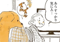 ひんやりマットをくわえて移動！レトリバーの目的にほっこり