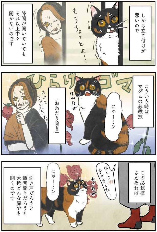 こういう時はマダムの必殺技