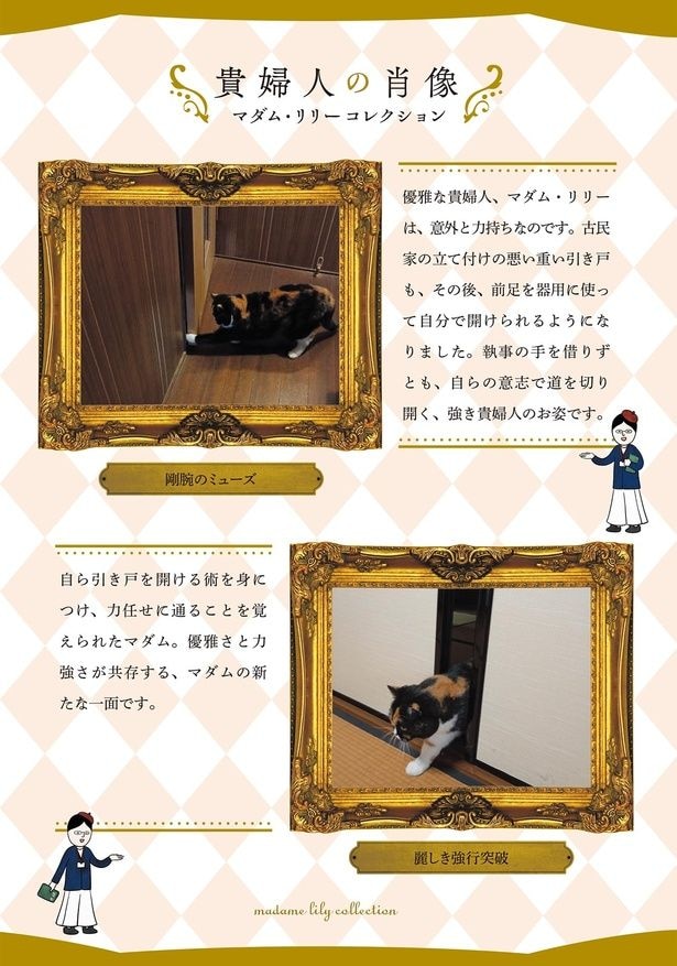 貴婦人の肖像