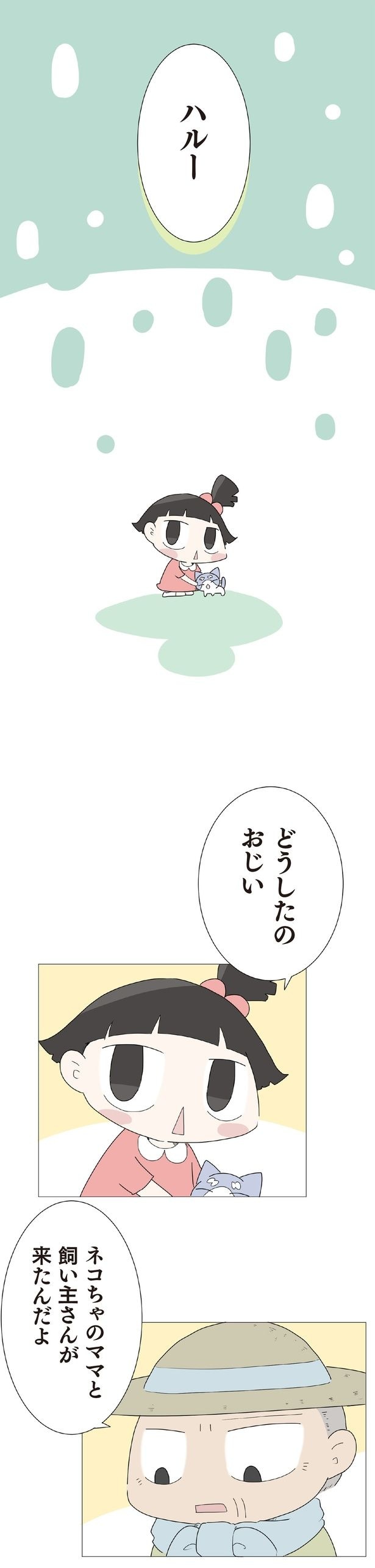 ネコちゃのママと飼い主さんが来たんだよ