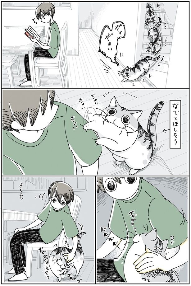 寄り道しちゃうネコ
