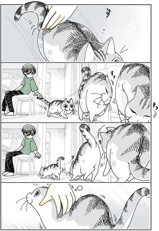 すりすり