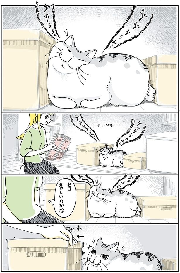 すごい寝相