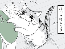 撫でてほしそうなネコ。あっちこっちに寄り道をするのはなぜ？