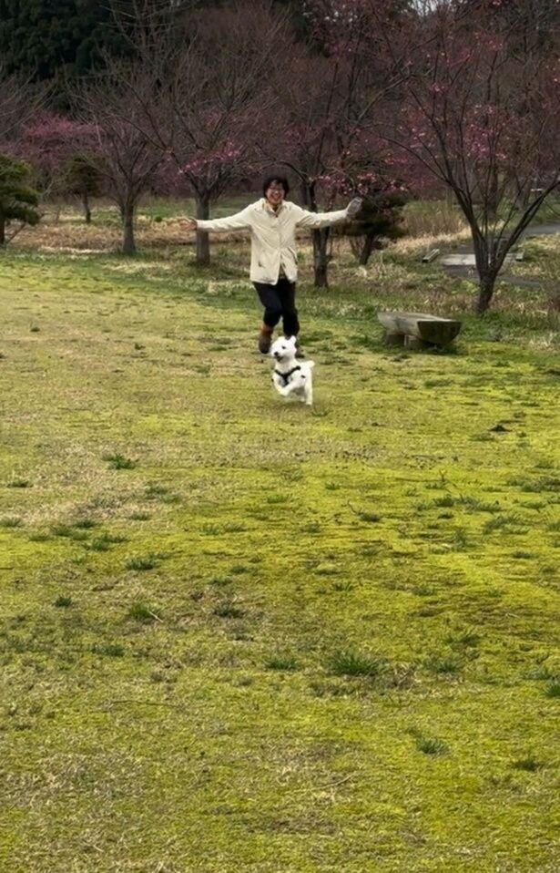 飼い主さんと追いかけっこ▶全力で楽しみ…(⇒次へ)