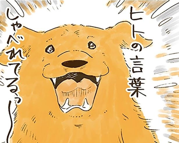 夢の中で会話が実現?レトリバーがおばあちゃんに届けたかった想いとは
